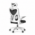 Adjustable Mesh Office Chair with Lumbar Support