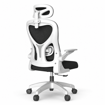 Adjustable Mesh Office Chair with Lumbar Support